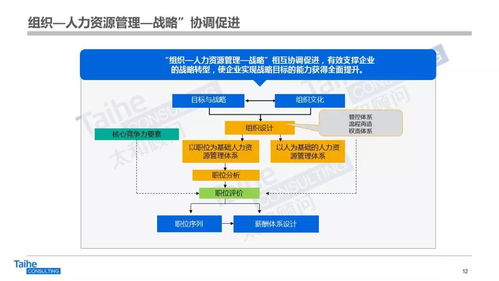 構(gòu)建以網(wǎng)絡(luò)技術(shù)開發(fā)為驅(qū)動(dòng)的人力資源管理體系，助力企業(yè)實(shí)現(xiàn)跨越式發(fā)展